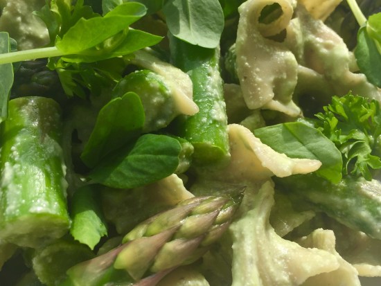Cashew Cream Spring Vegetable Pasta