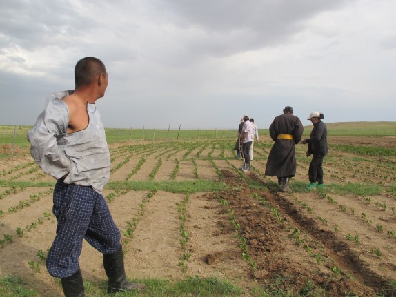 Mongolia Organic Farming