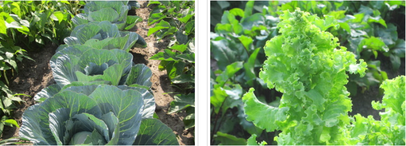 Screen Shot 2014-11-12 at 2.43.58 PM